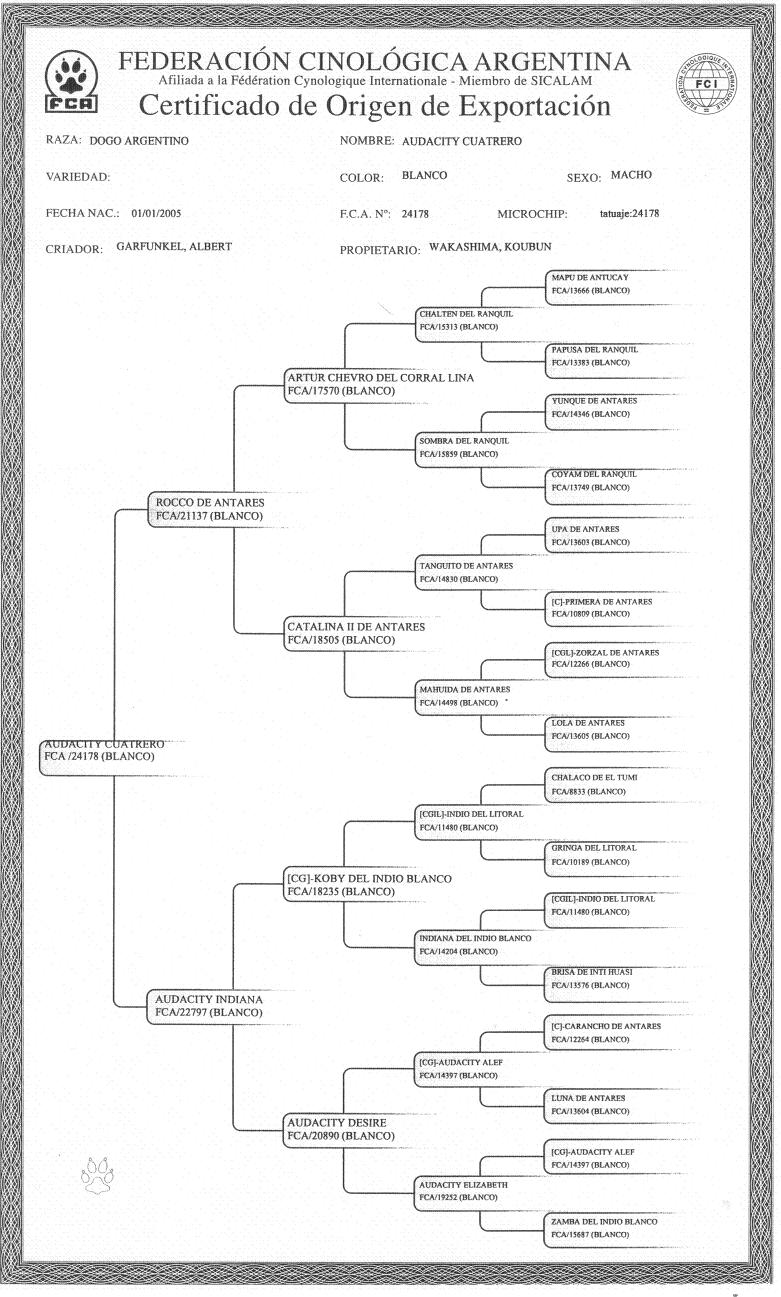 view biomaterials for artificial organs 2011