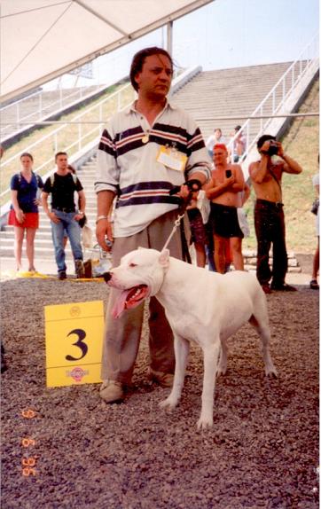 Allevamento Dogo Argentino Dei Falchi Bianchi