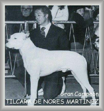 tilcara_de_nores_Martinez_002.jpg